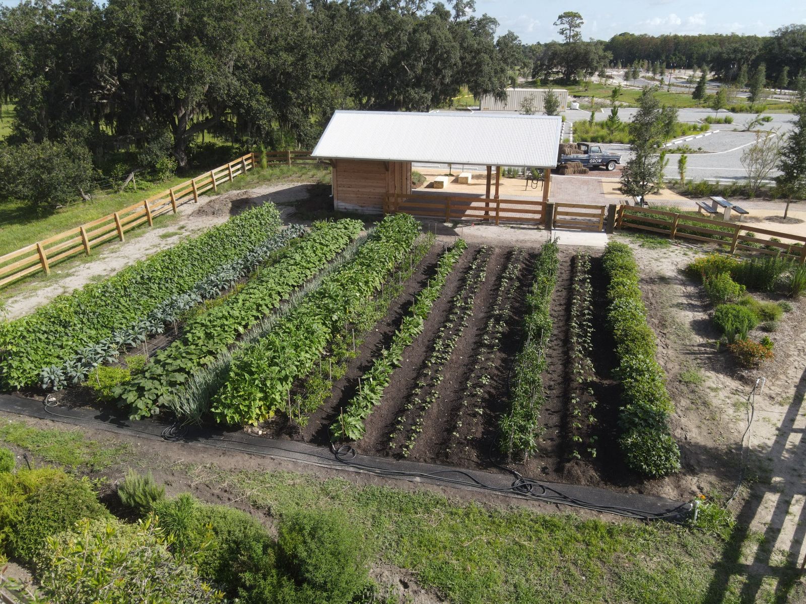 Why Agrihood Communities Like The Grow Are Becoming One of Central Florida's Hottest Lifestyle Trends header image.