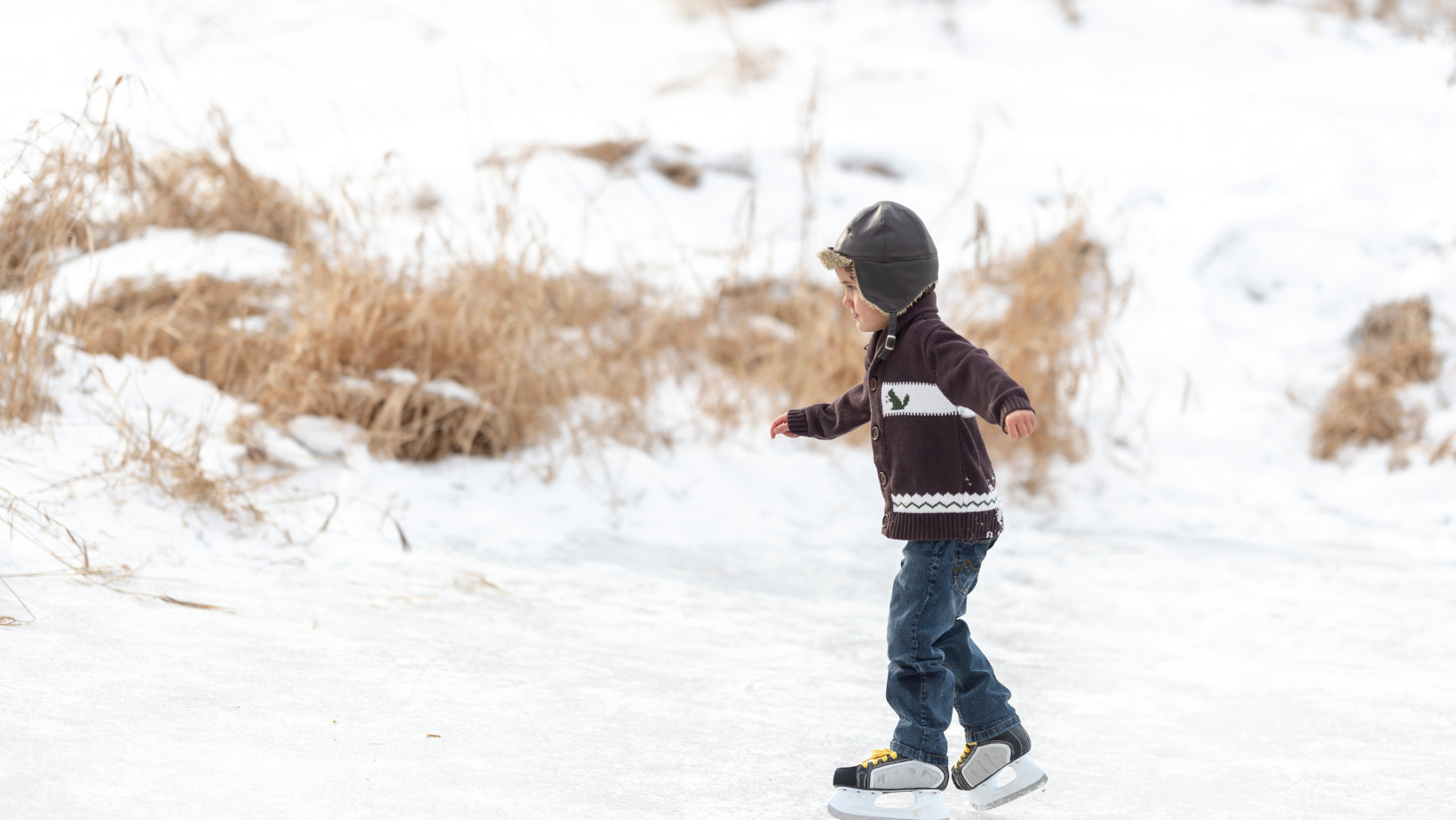 Winter Weekend Guide: Fun Things to Do in Southeast Michigan header image.