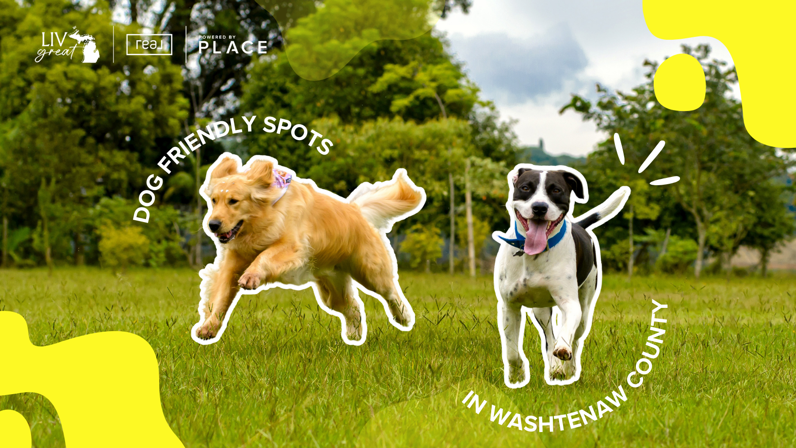 Dog Parks, Trails, and Pet-Friendly Spots Around Washtenaw County header image.