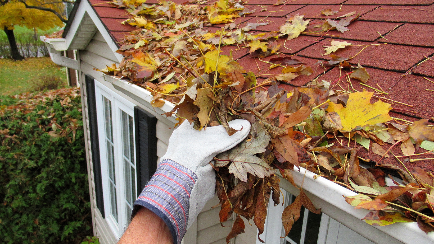 Gloved hand scooping fall leaves out of a clogged gutter on a red-shingled roof