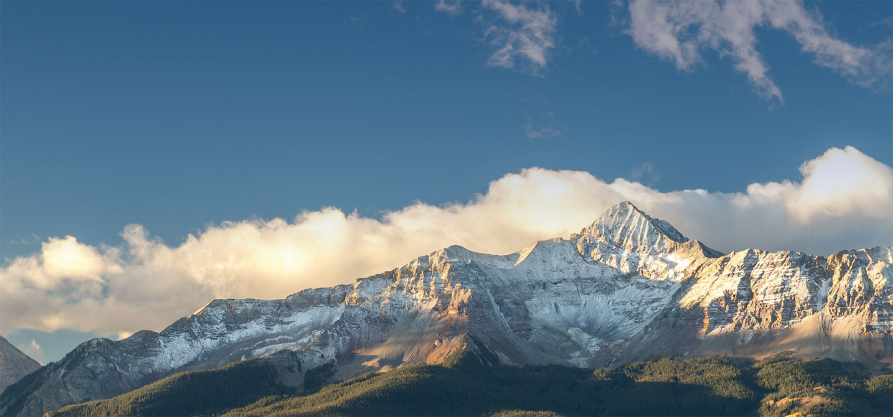Luxury Report - August 2021 header image.