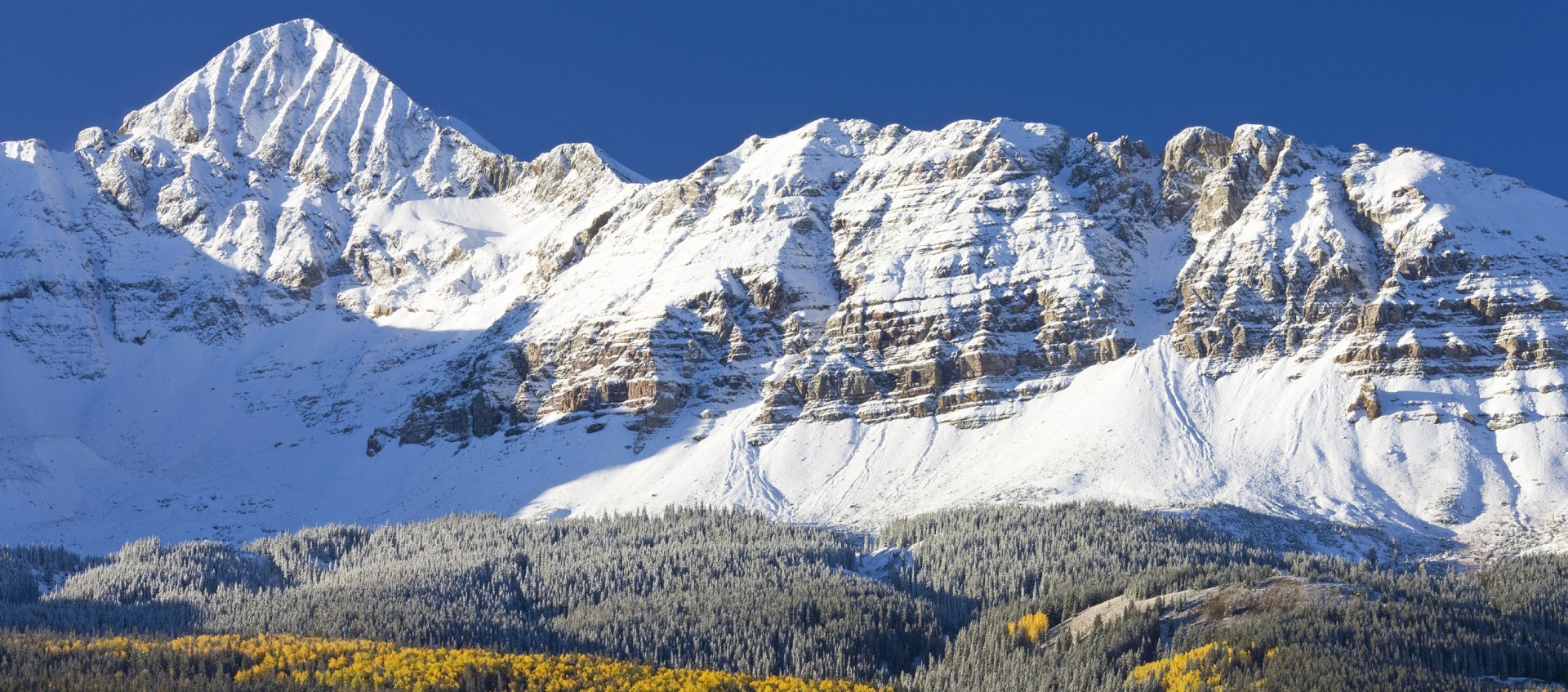 Another Strong Winter by Daily Planet header image.