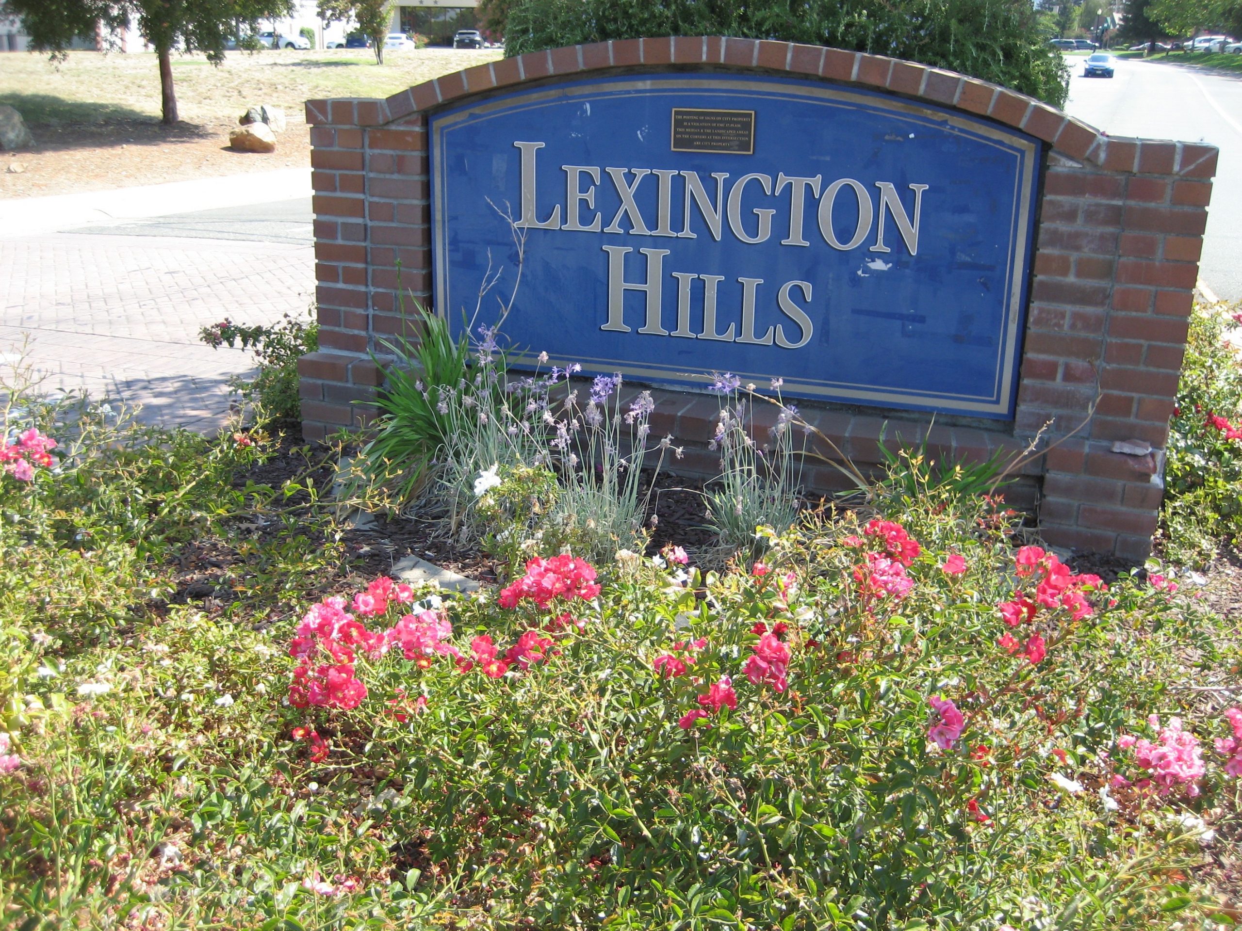 Lexington Hills, Folsom, CA header image.