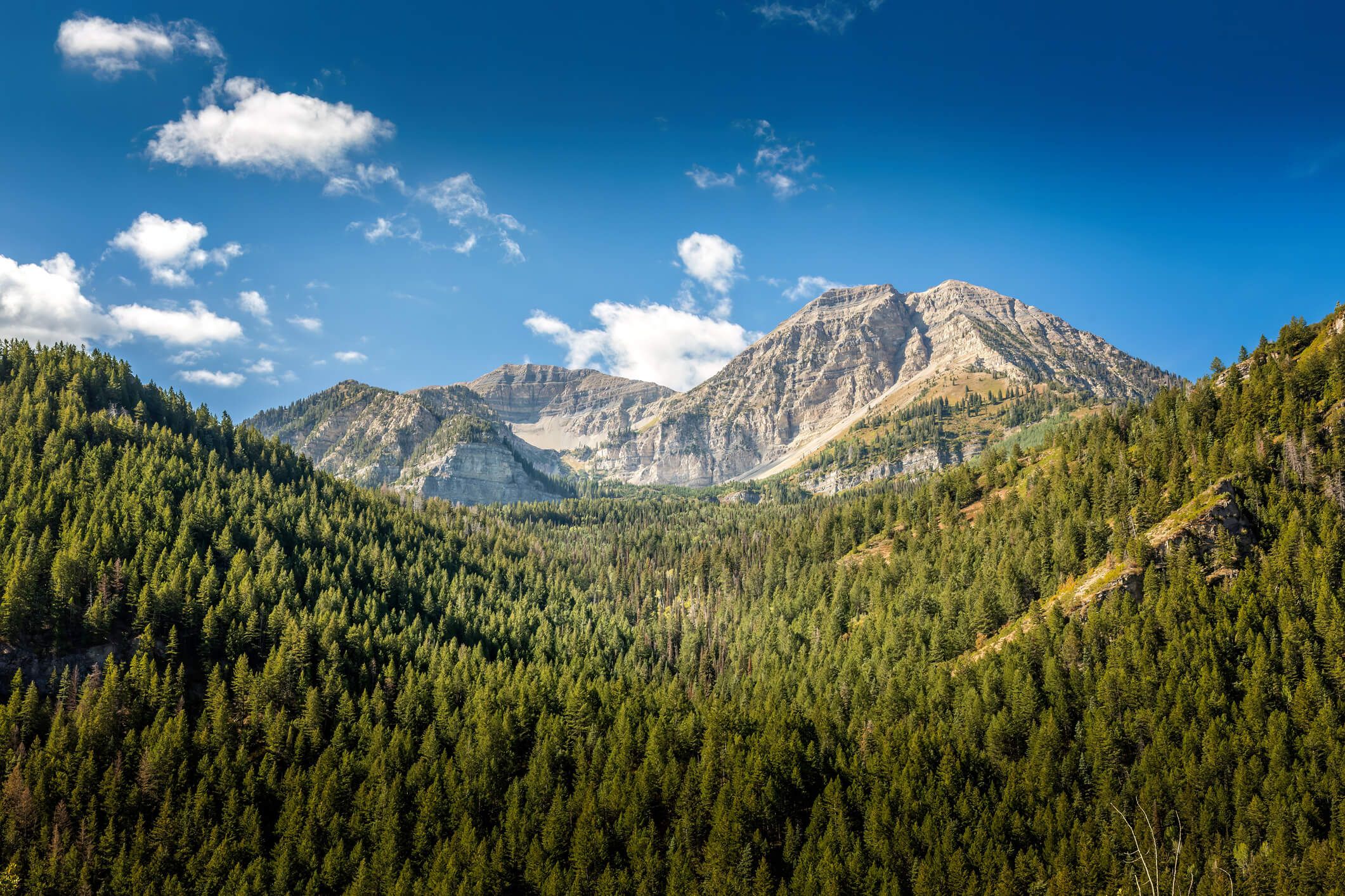 5 Reasons to Buy a House in Utah County Right Now header image.
