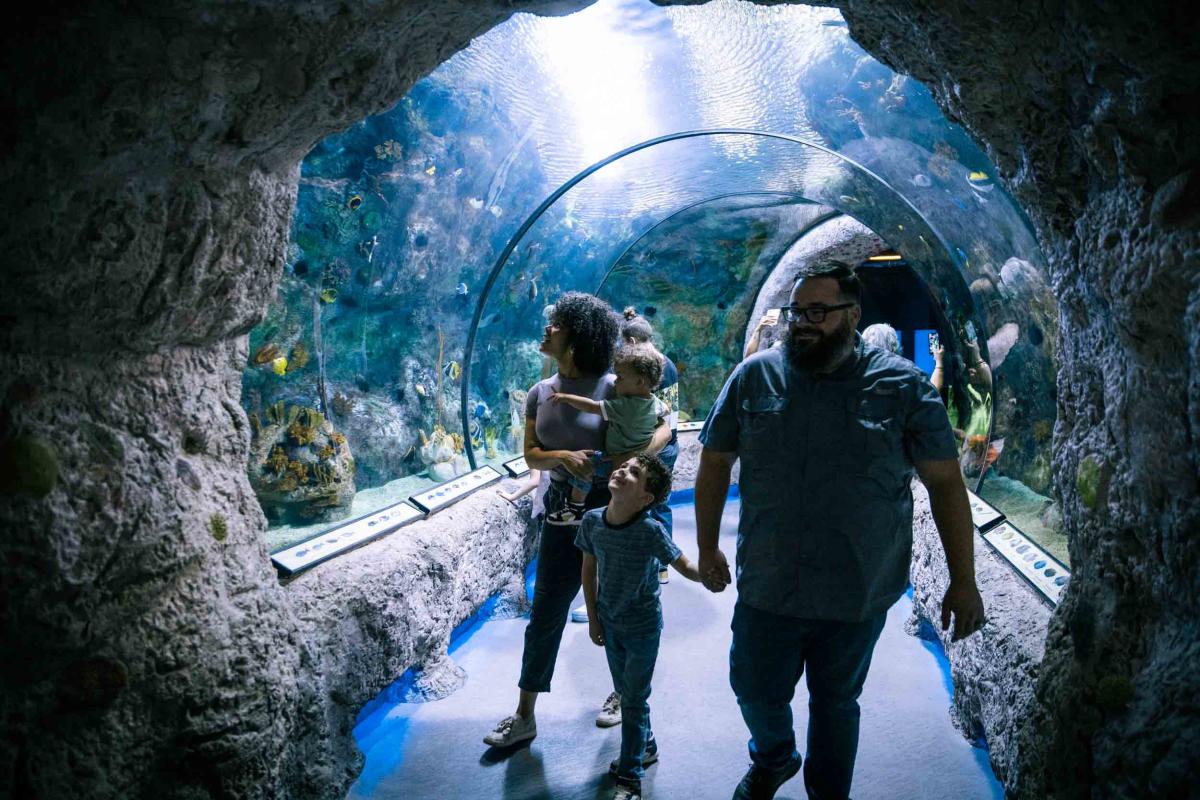 family at the aquarium
