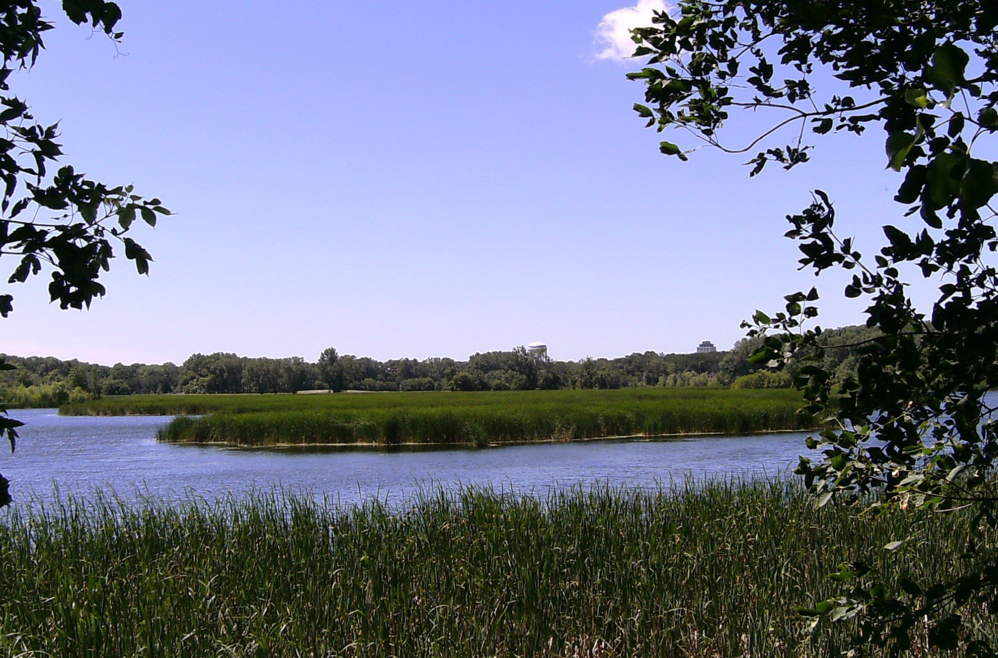 Highlights of Living in Richfield! header image.