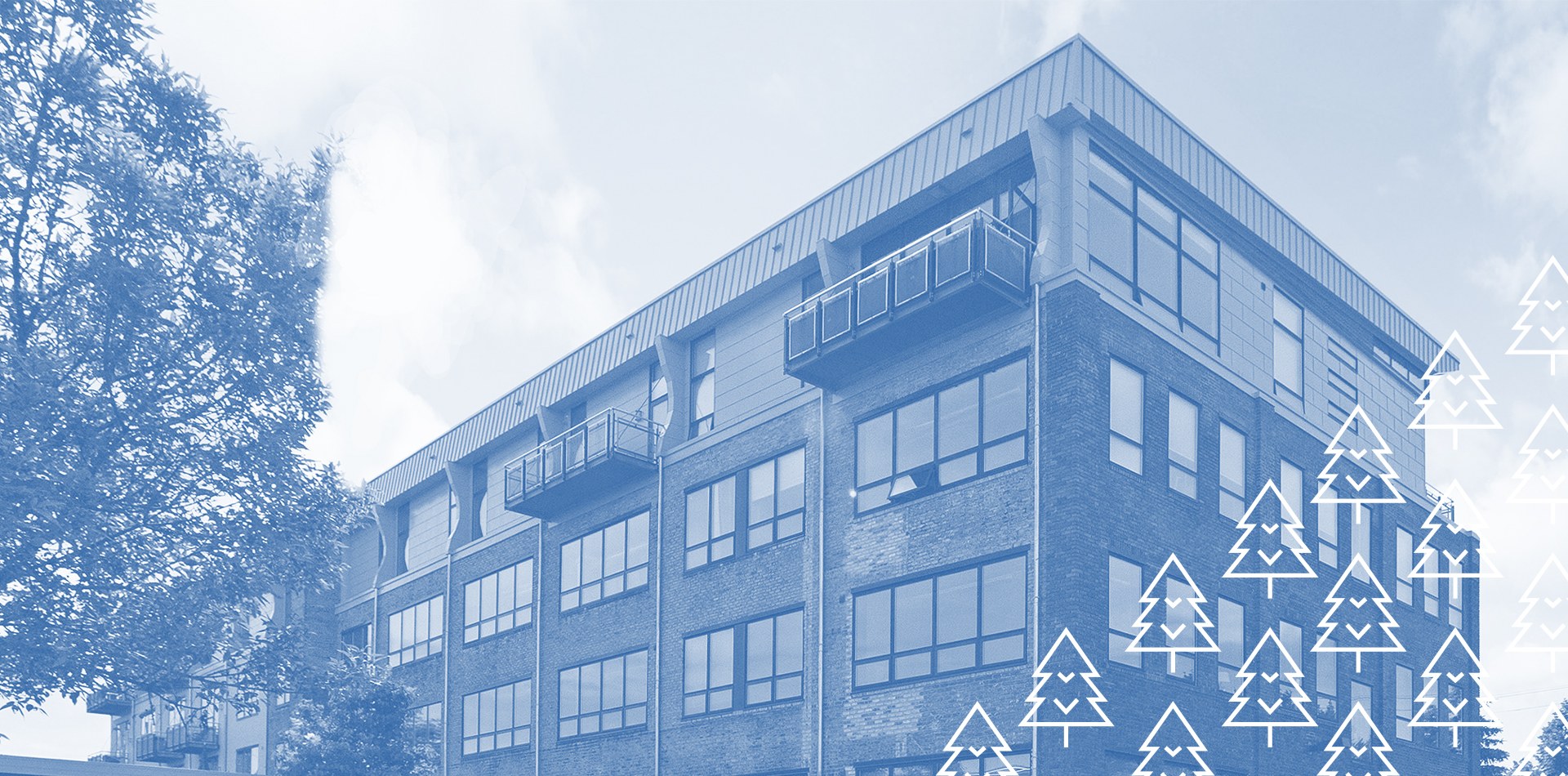 Twin Cities BRIX Report with Brie Lynch header image.