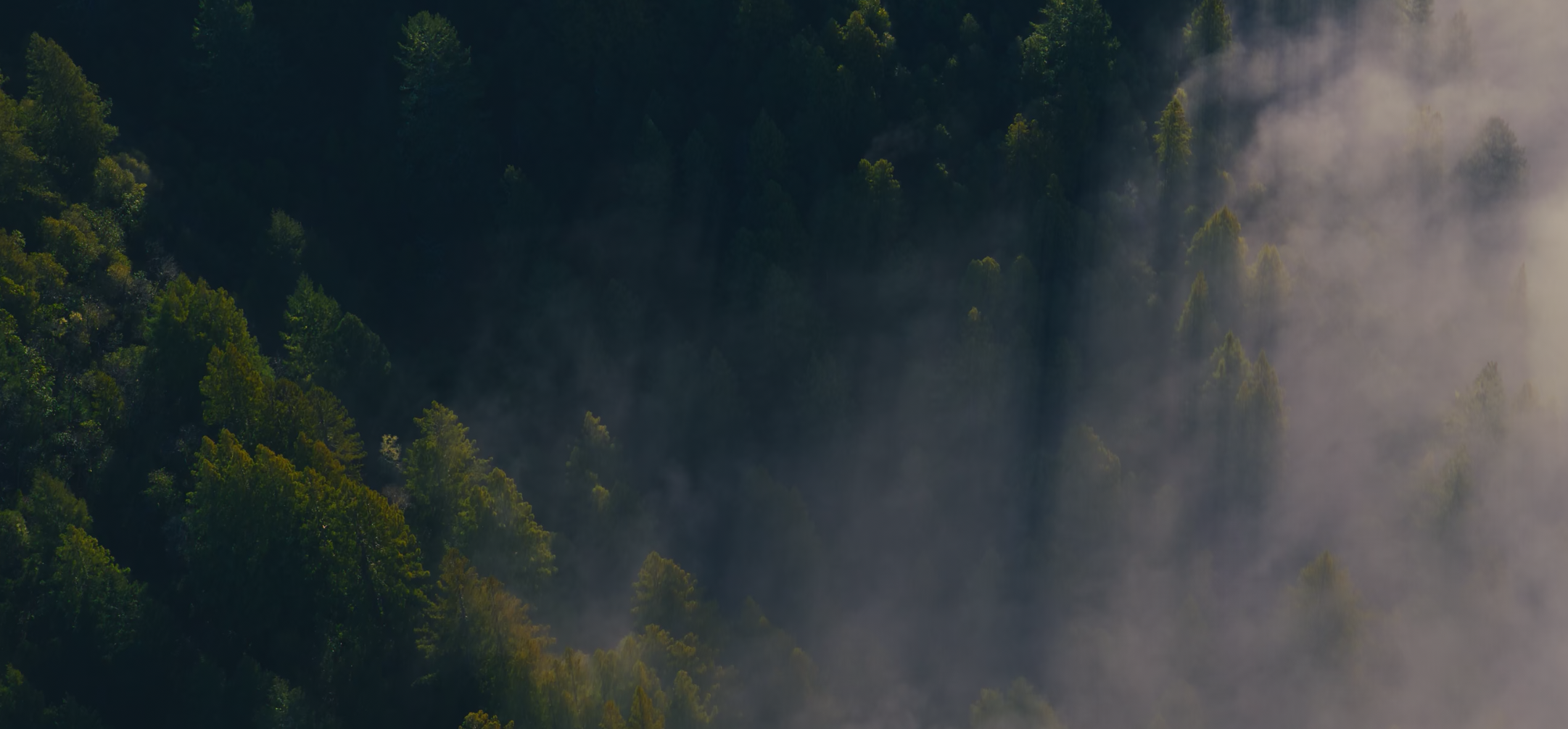 testing testttt header image.