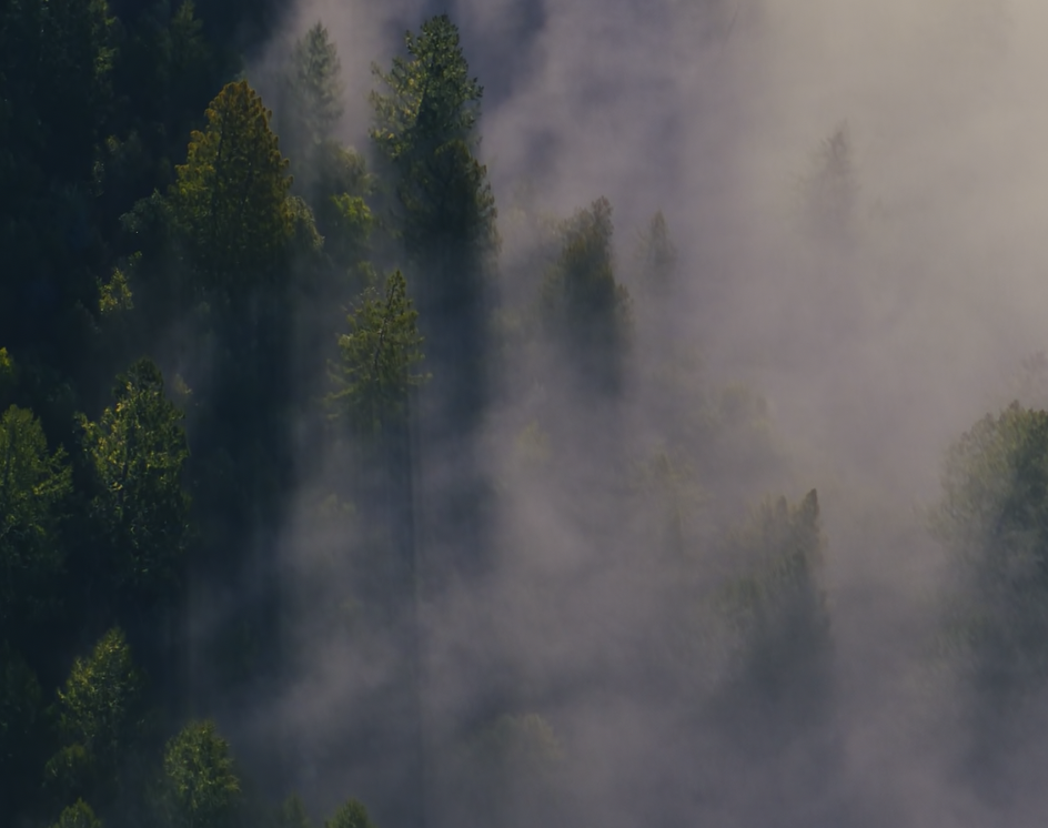 test85724 header image.