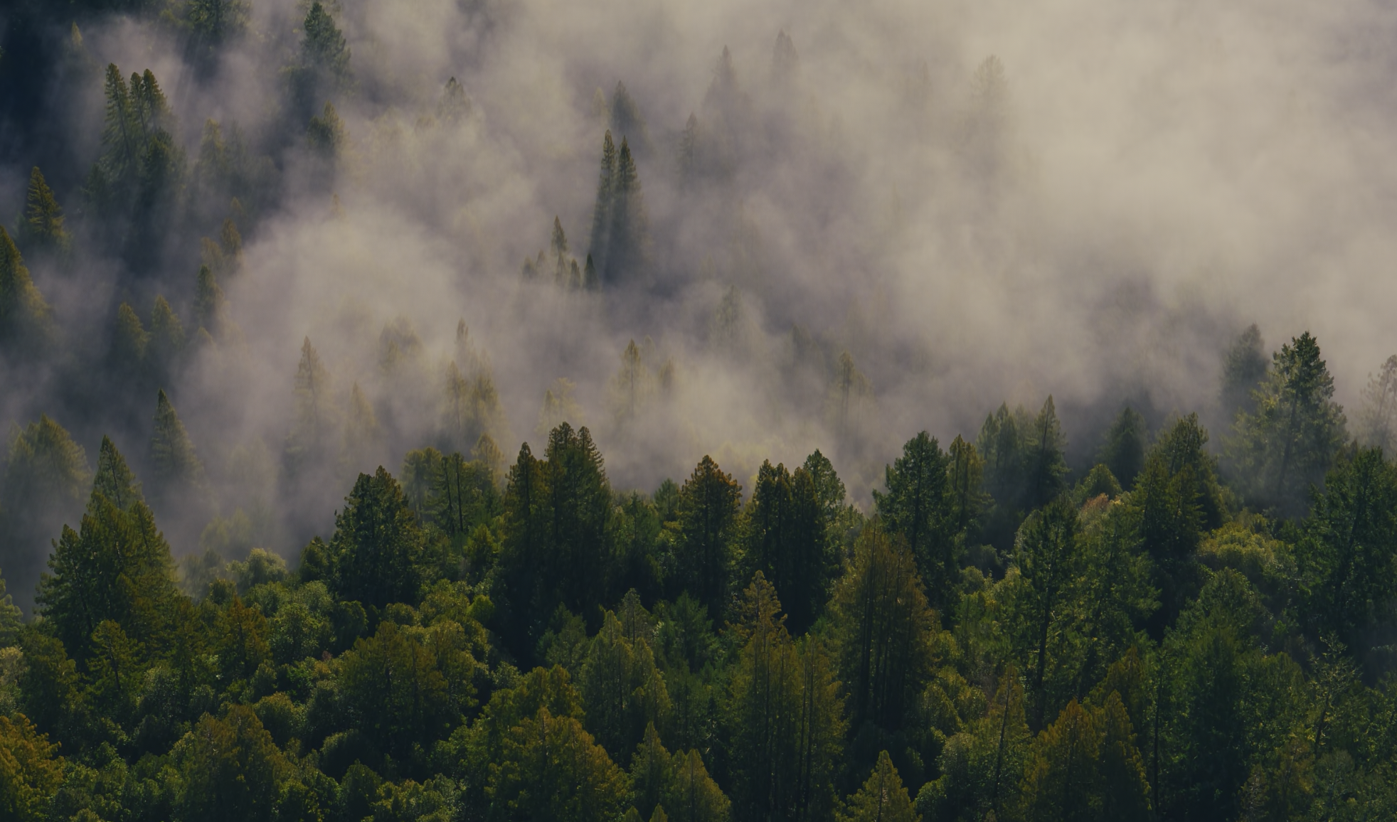 Testing Google header image.