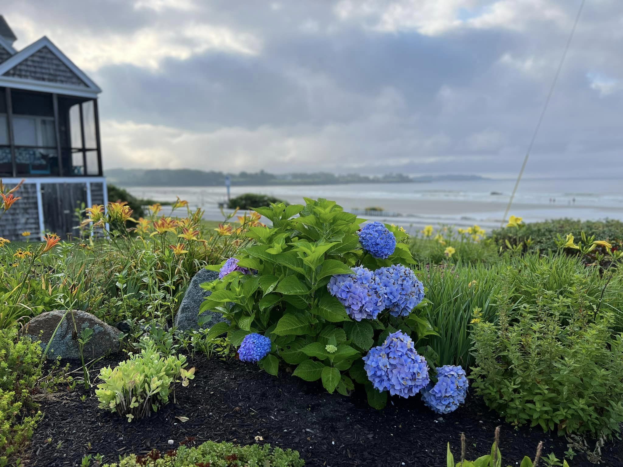 Welcome! Liza Gonzaga Joins the Scott & Sunny Townsend Team header image.