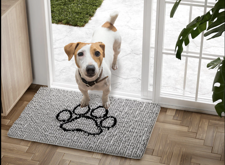 Wagging Tails & Welcome Mats: Your Casa Team’s Open House Series with Heart header image.