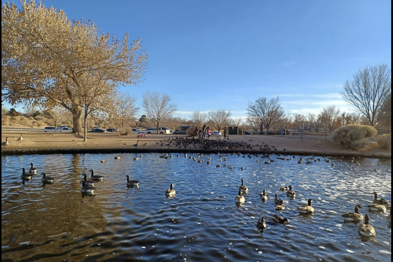 Hidden Gems: 10 Albuquerque Parks and Outdoor Spaces You May Not Know About header image.