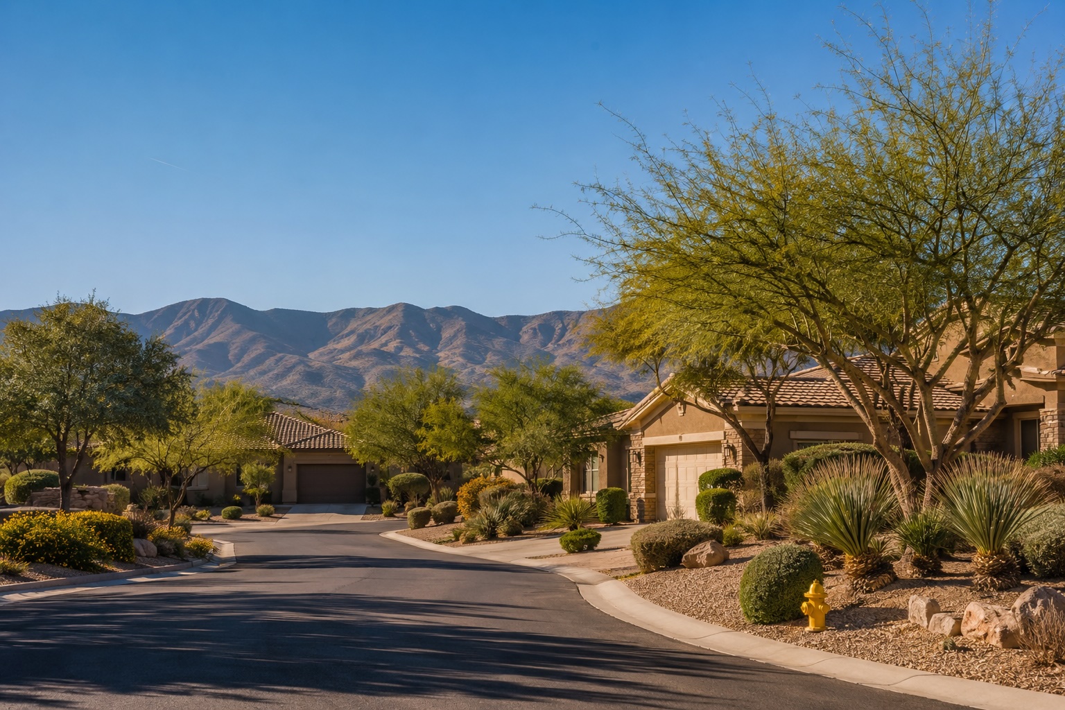Quiet residential street with single-story homes, desert landscaping, and mountain views in a Summerlin Las Vegas 55-plus community
