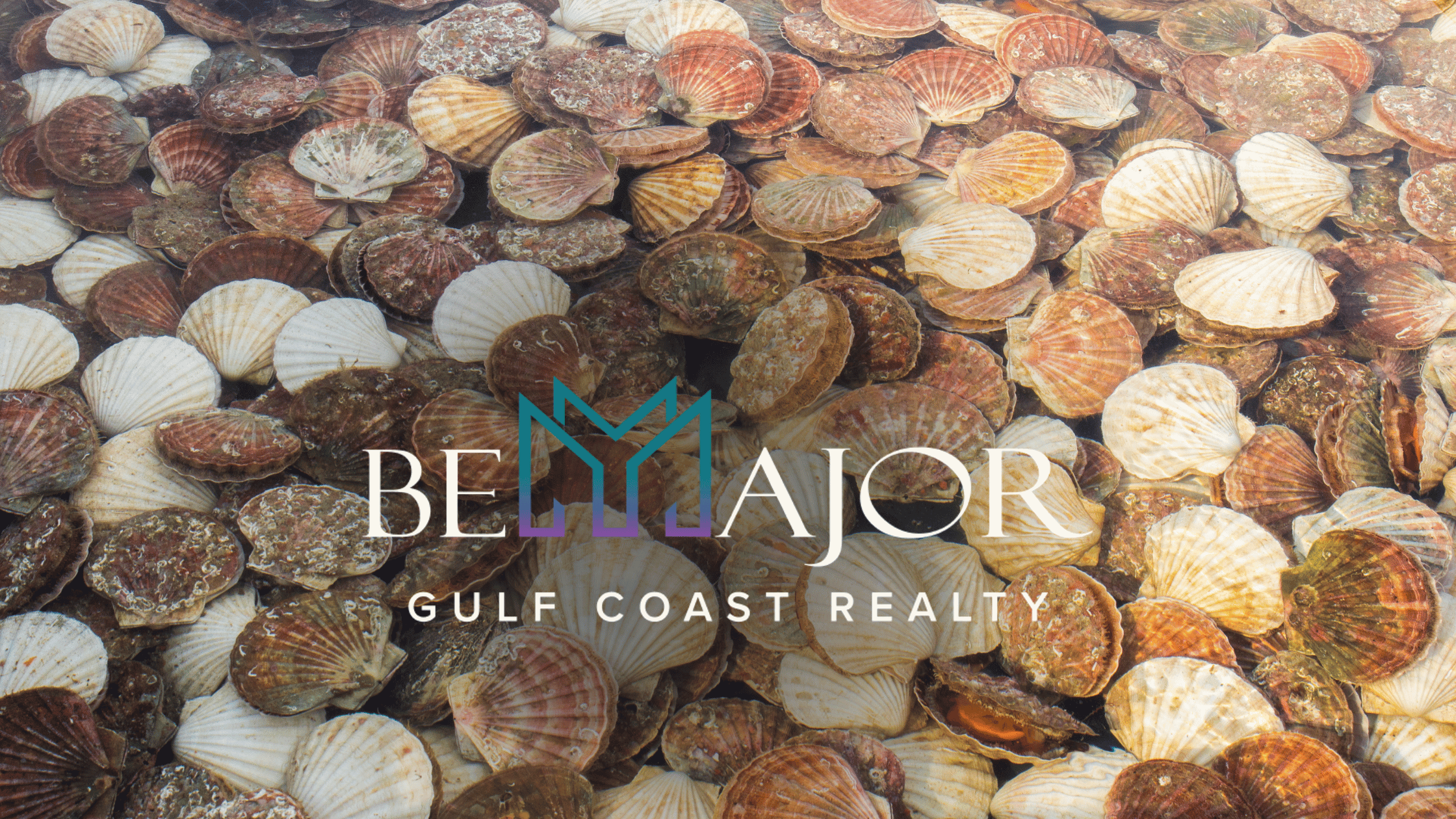 multi-colored sea scallops with the BeMAJOR Gulf Coast Realty logo overlay