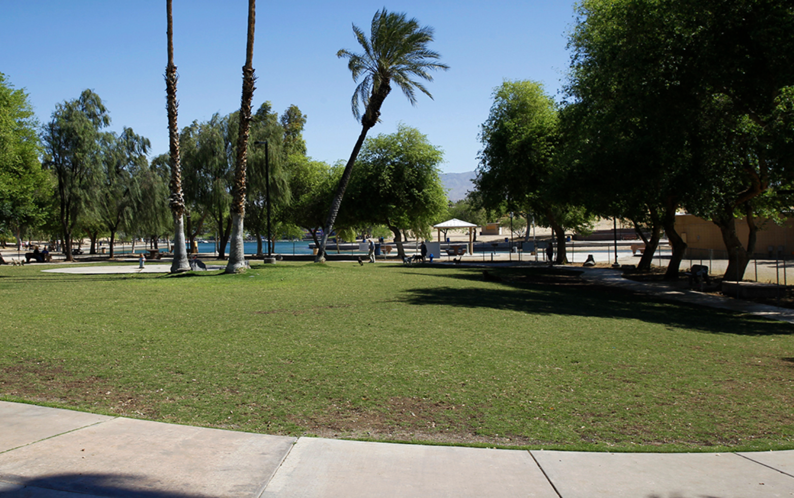 Dog parks in Lake Havasu City