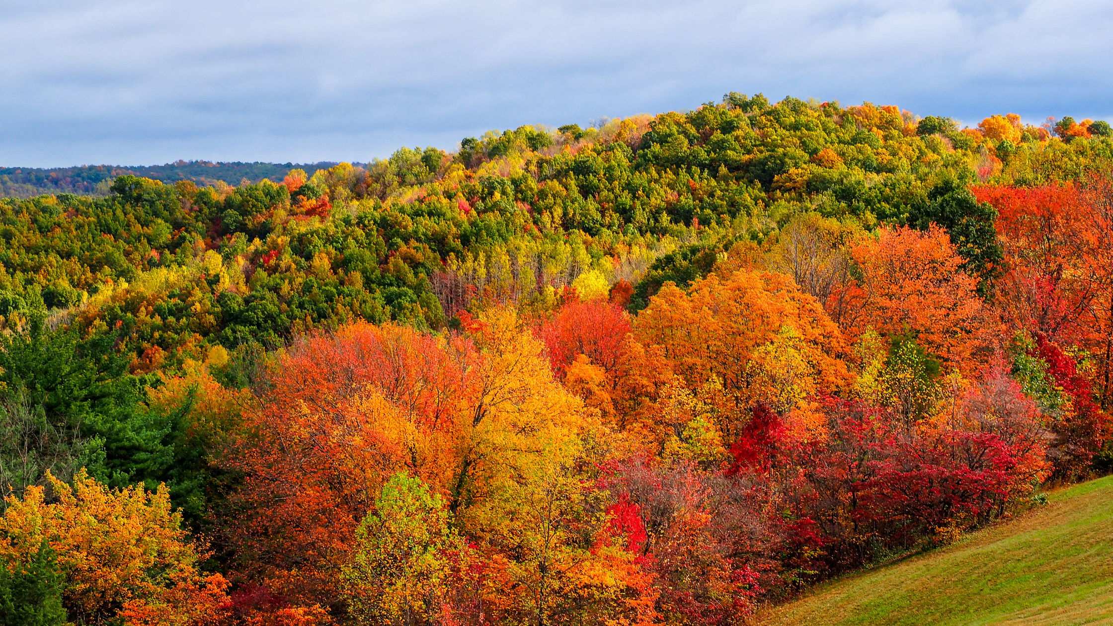 Fall in Northeast Ohio: 7 Ways to Enjoy the Season Close to Home header image.