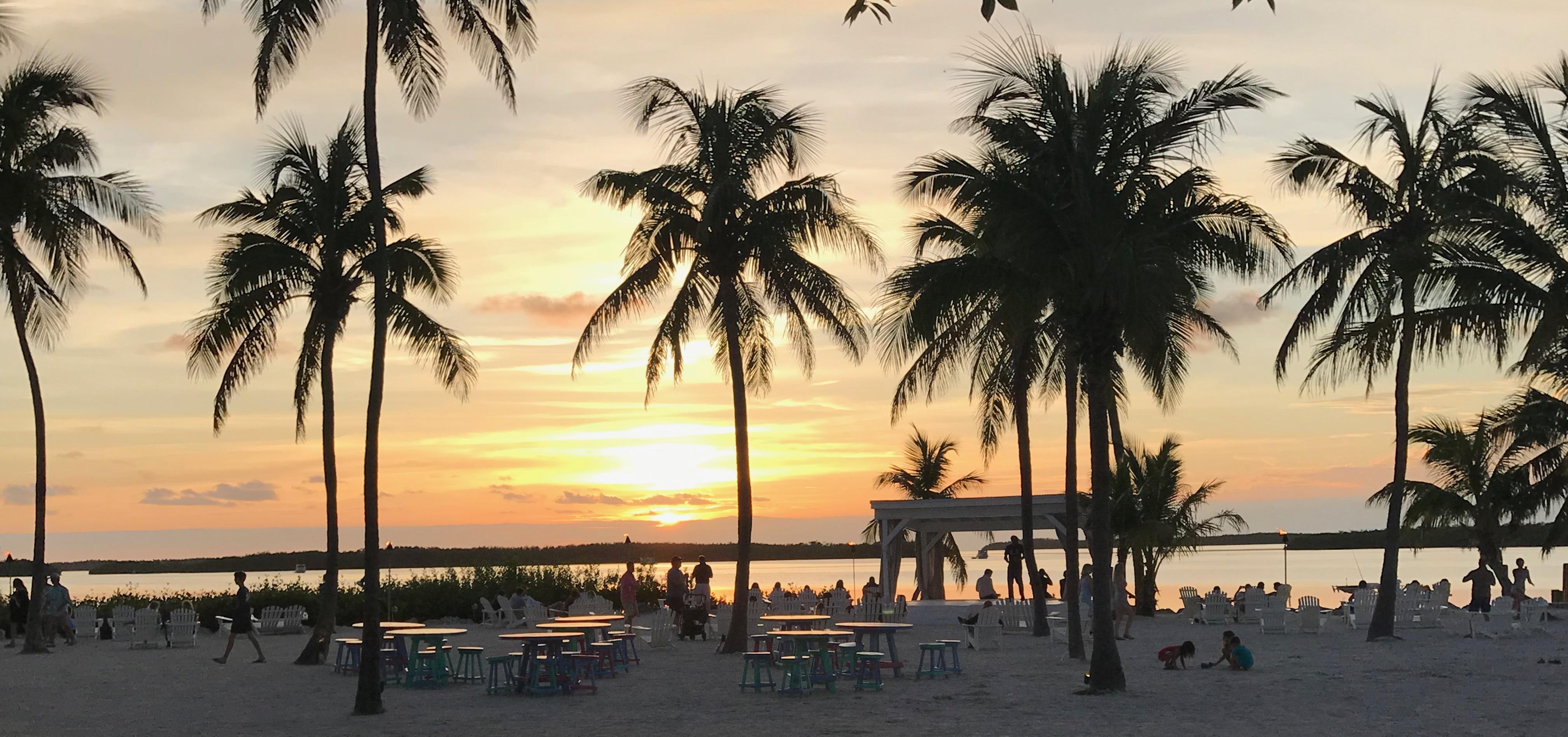 Connect with Nature in The Florida Keys header image.