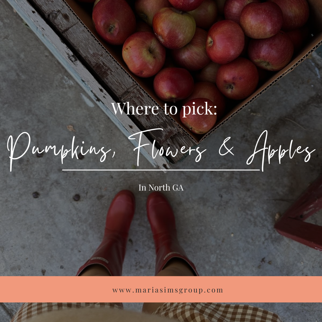Your Guide to Pumpkin Patches, Apple Picking, and Flower Picking in North GA header image.