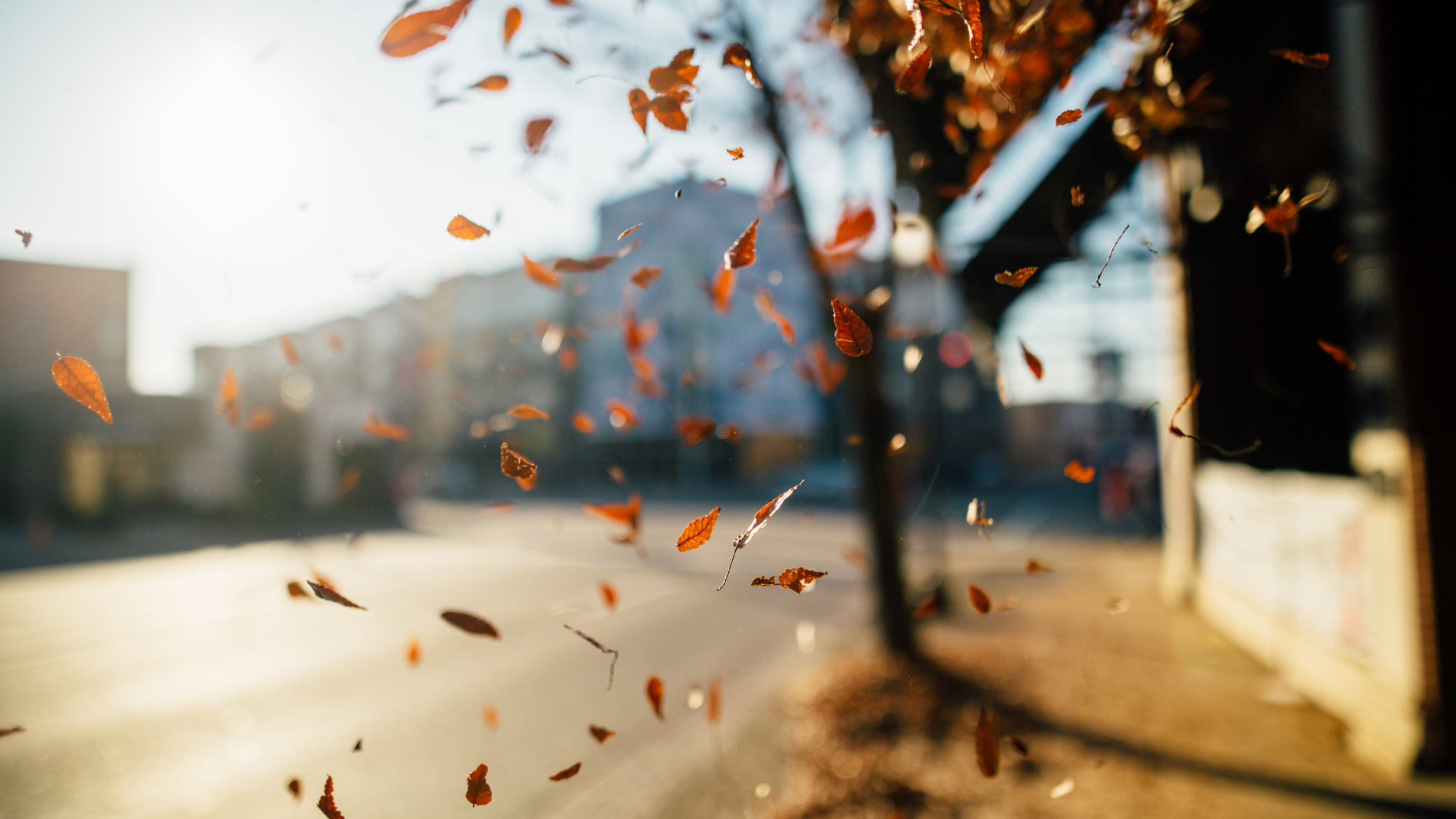 The Ultimate Fall Home Maintenance Checklist for New Jersey Homeowners header image.