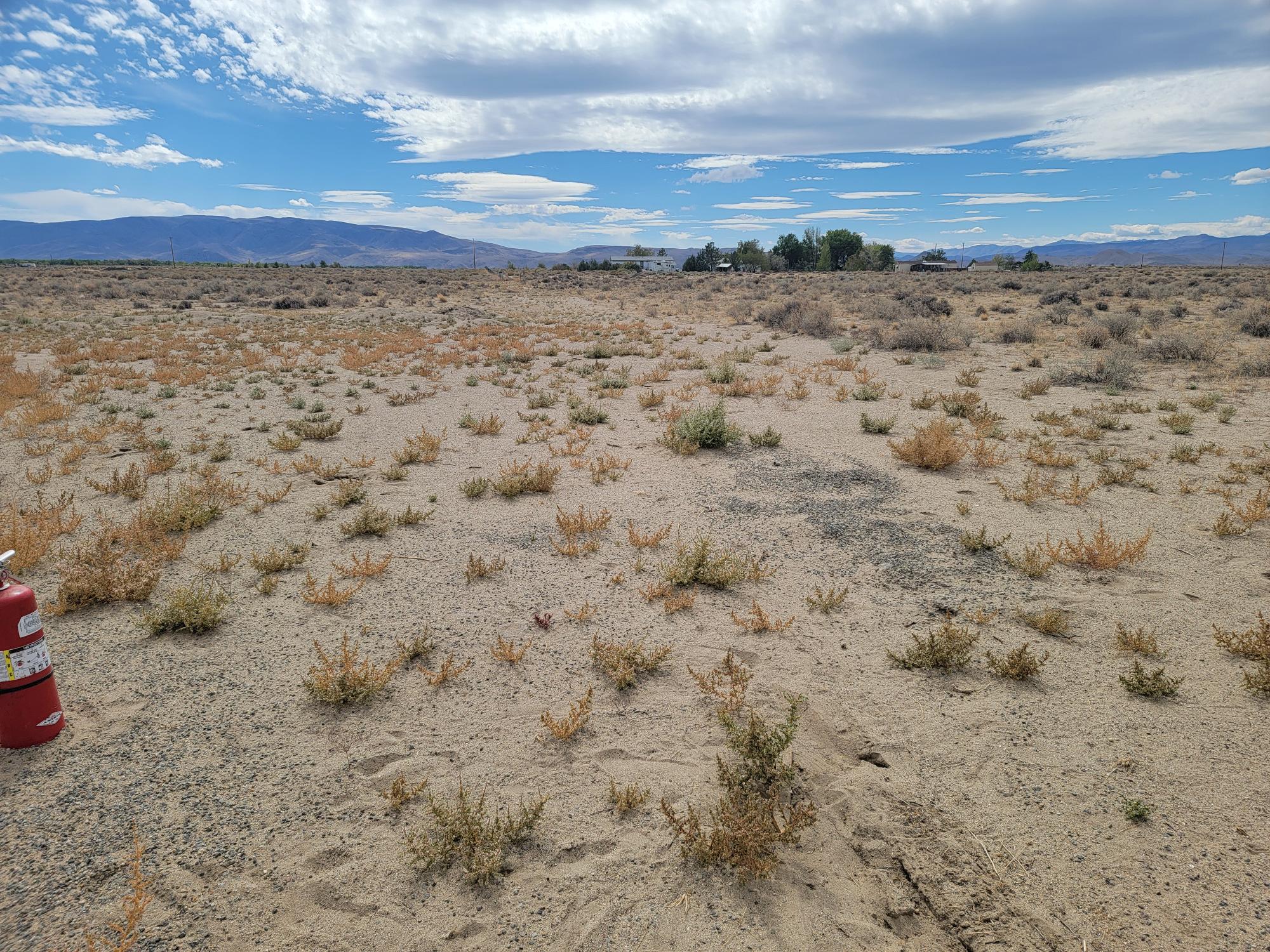 Rural Living in Northern Nevada: What to Know about Wells and Septic Systems header image.
