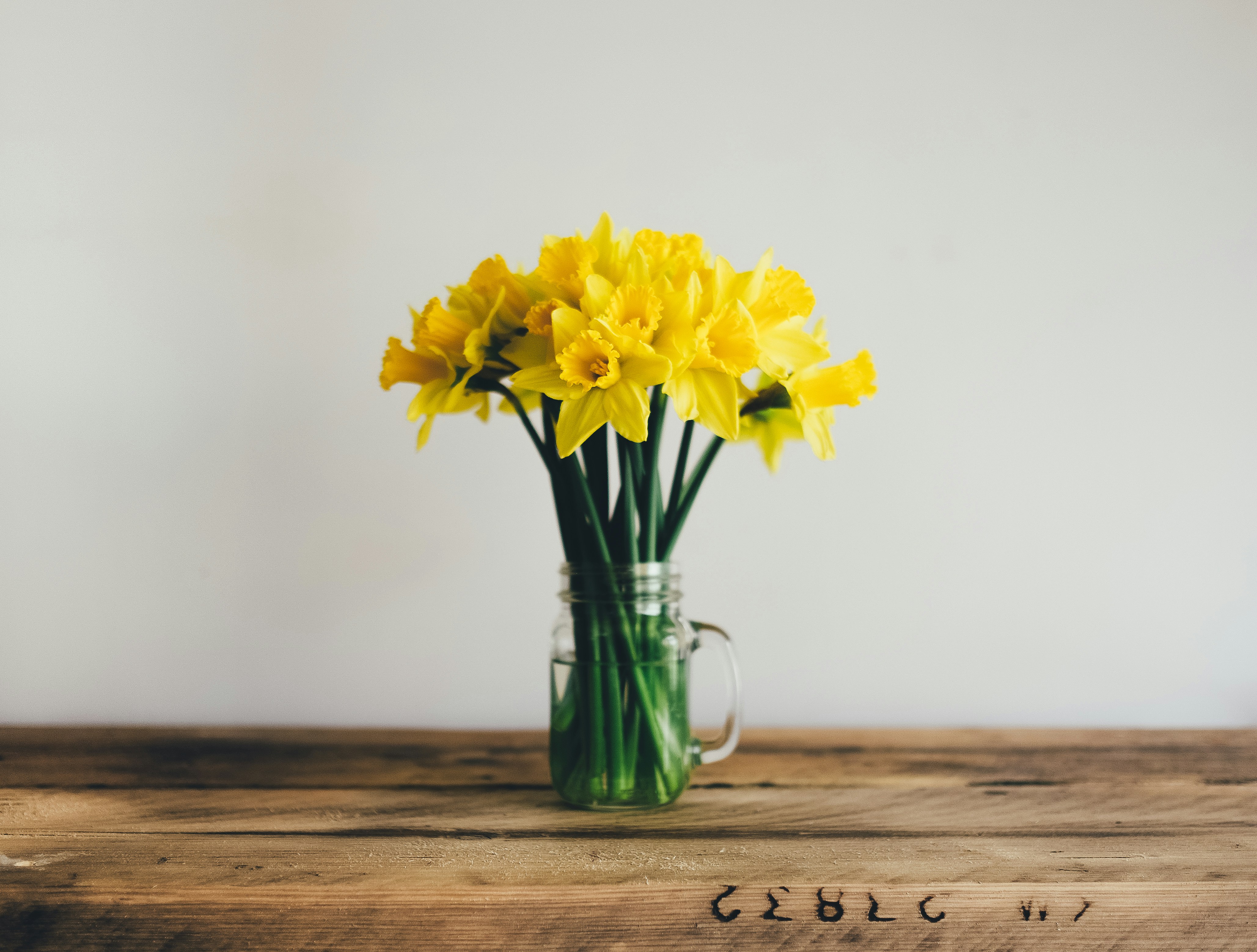 Spring Cleaning Lite: For the Busy Person (and Who Isn’t?!) header image.