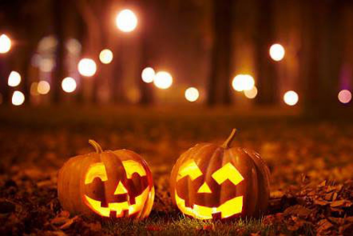 🎃 Fall Into the Spirit: Fun, Festive, and Safe Ways to Celebrate Halloween in St. Louis header image.
