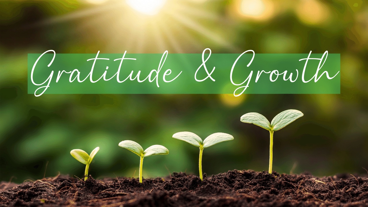 A Season of Gratitude and Growth in St. Louis Real Estate header image.