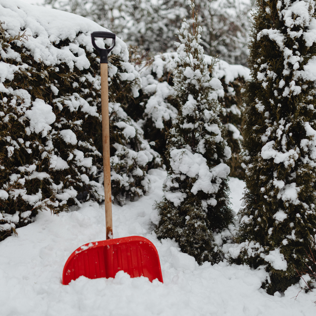 Maryland Snow Storm Home Prep