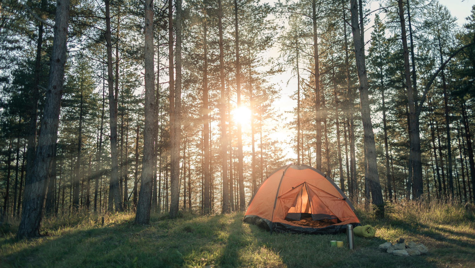5 Maryland Campsites to Check Out This Summer! header image.