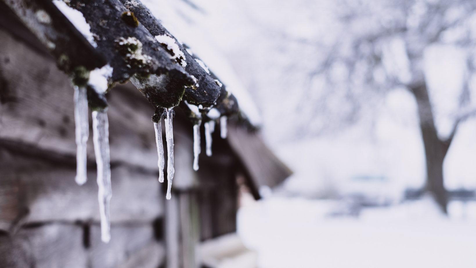 How to Prepare Your Home for the Winter header image.