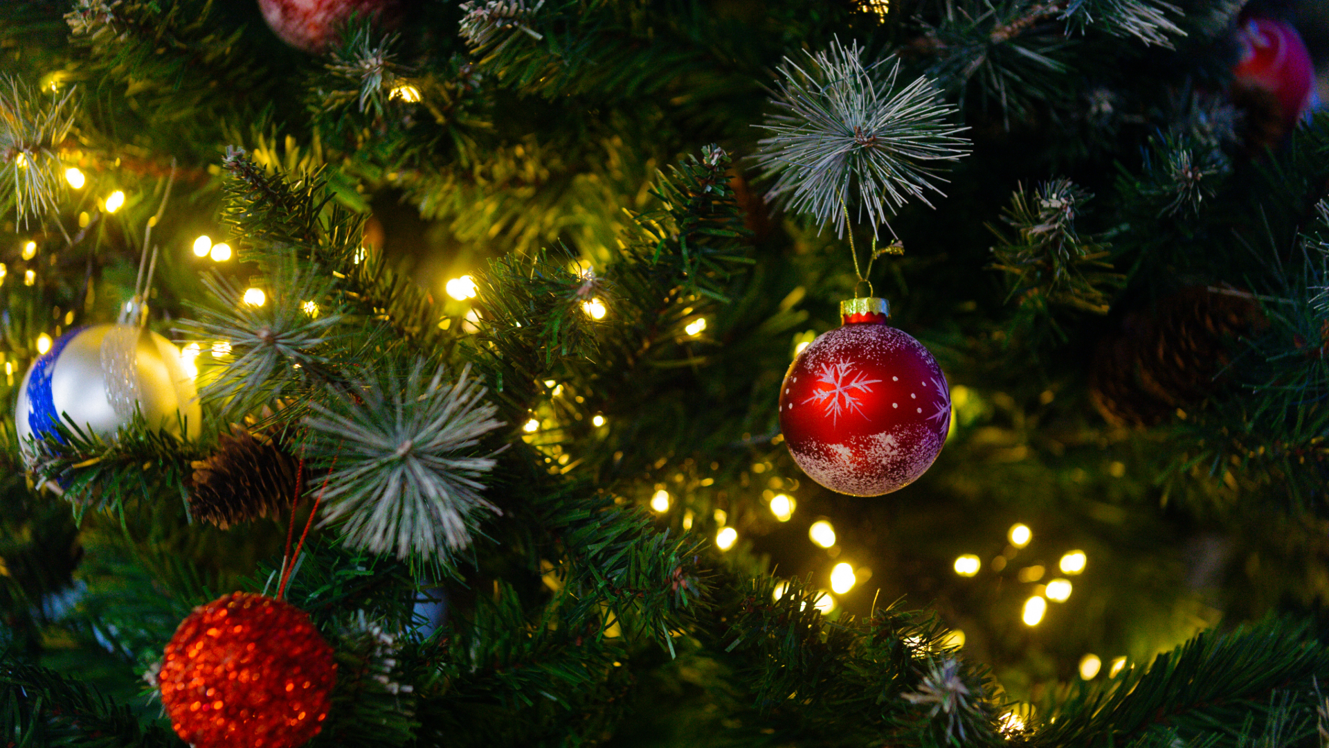 Local Holiday Guide: 2025 header image.