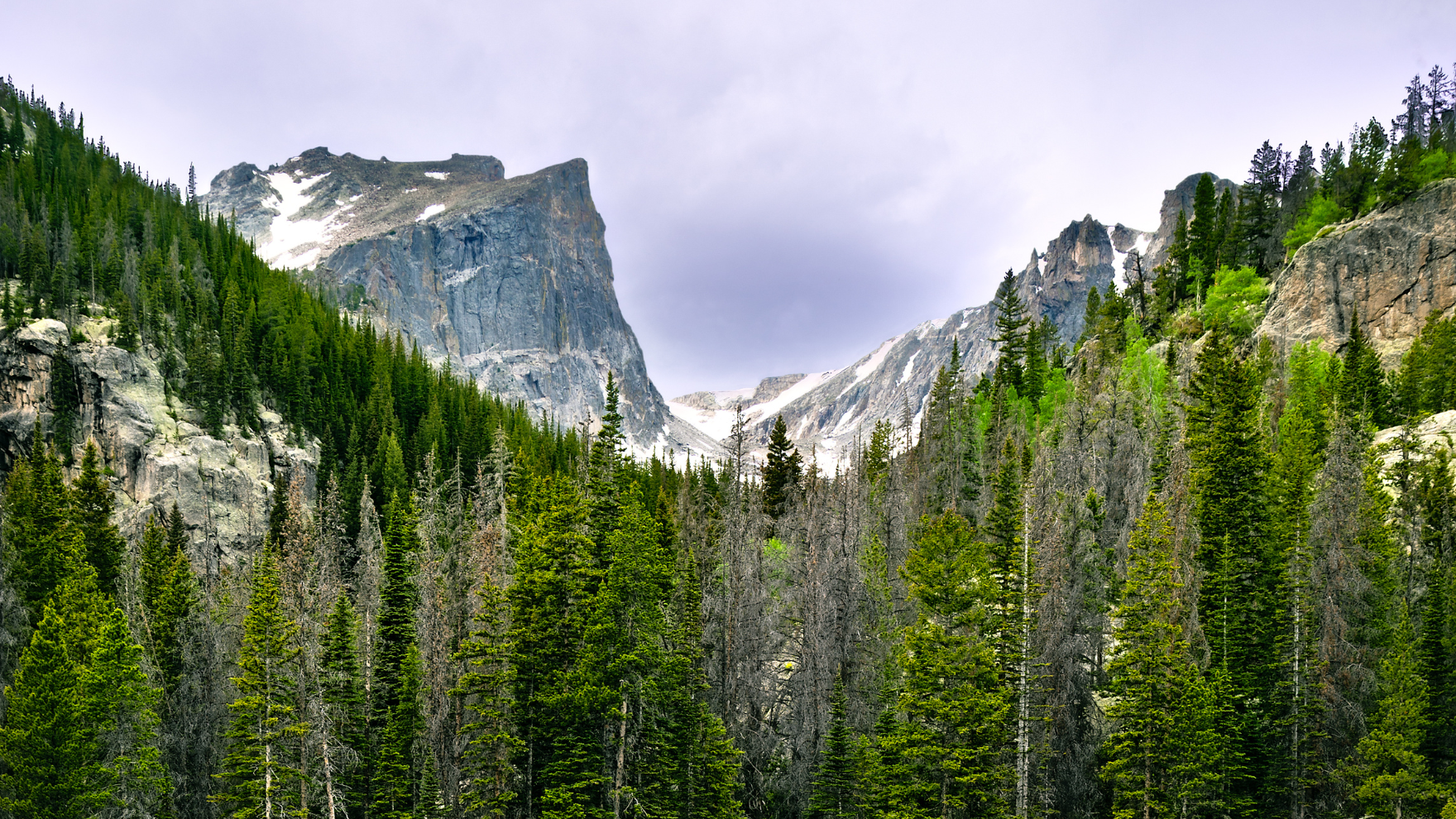 Clearing Up the Timed Entry System at Rocky Mountain National Park header image.