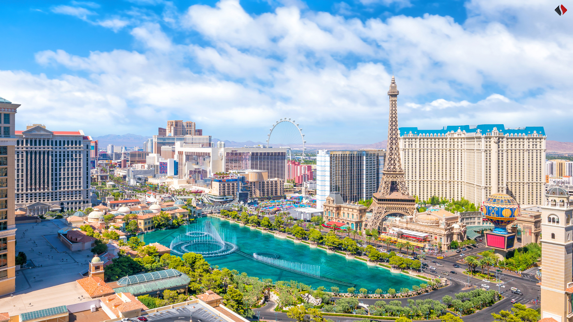 Signature Home Team Does Las Vegas! header image.