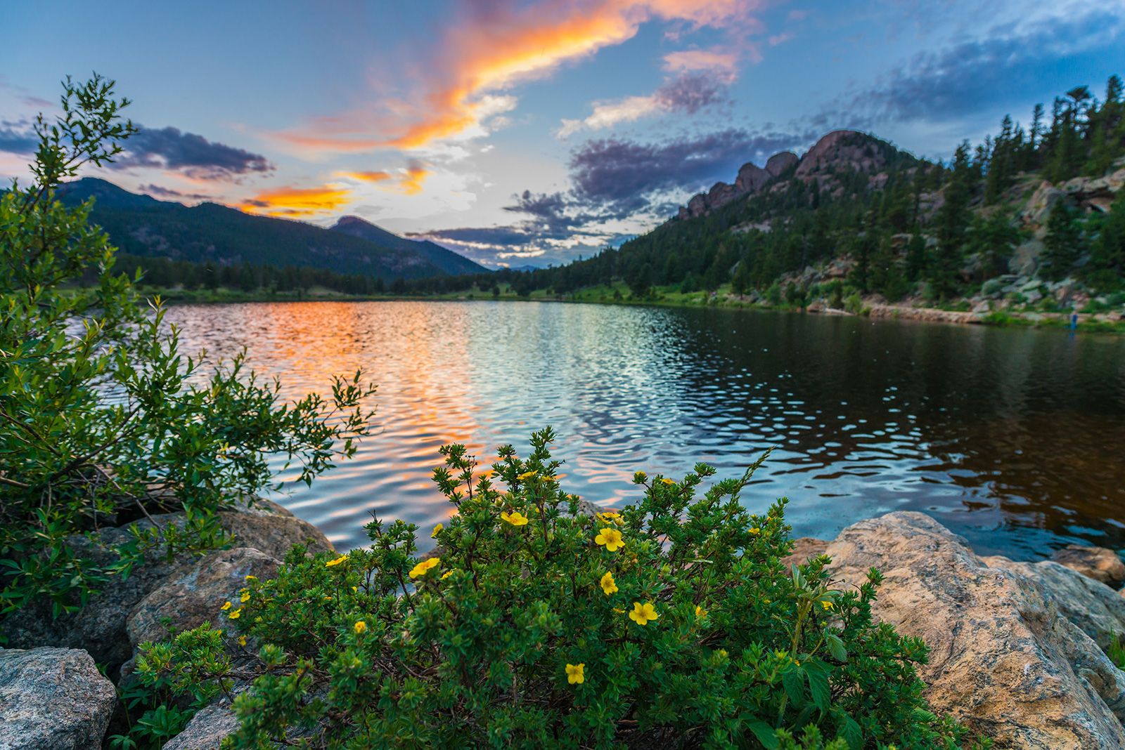 2023 Estes Park and Larimer County Real Estate Market Recap header image.