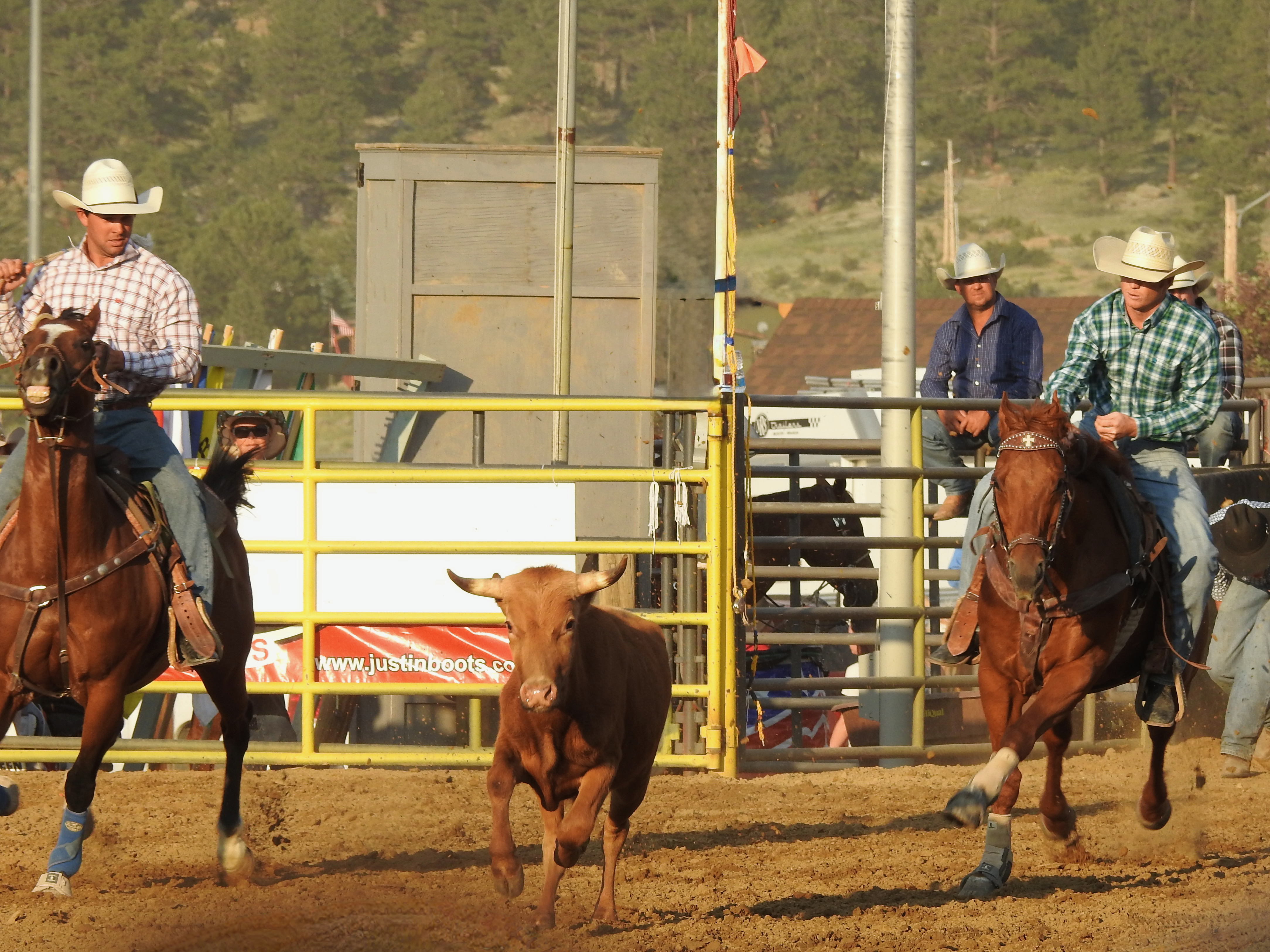 Rooftop Rodeo in Estes Park Colorado with riders competing in front of mountain views