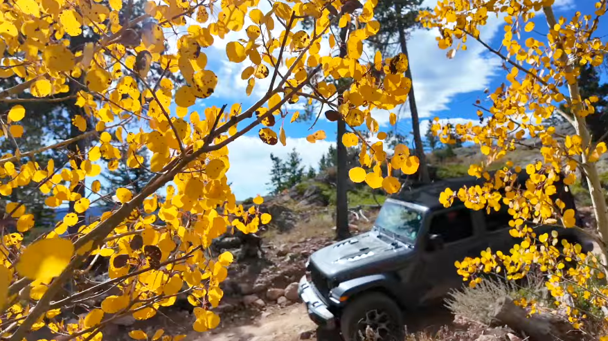 Johnny Park Road near Estes Park with golden aspen trees lining the off-road trail
