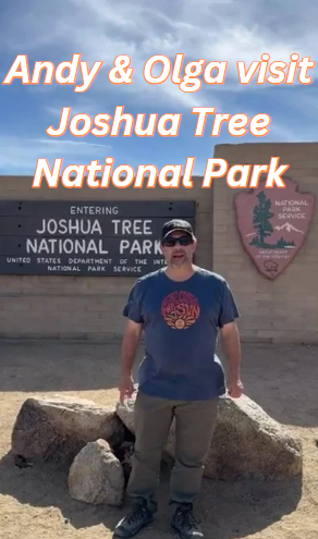Joshua Tree National Park; A Review header image.