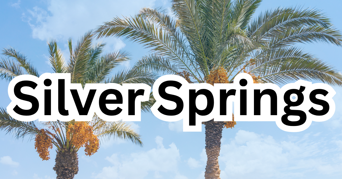The Complete Guide to Living in Silver Springs, Henderson, NV (89074) header image.