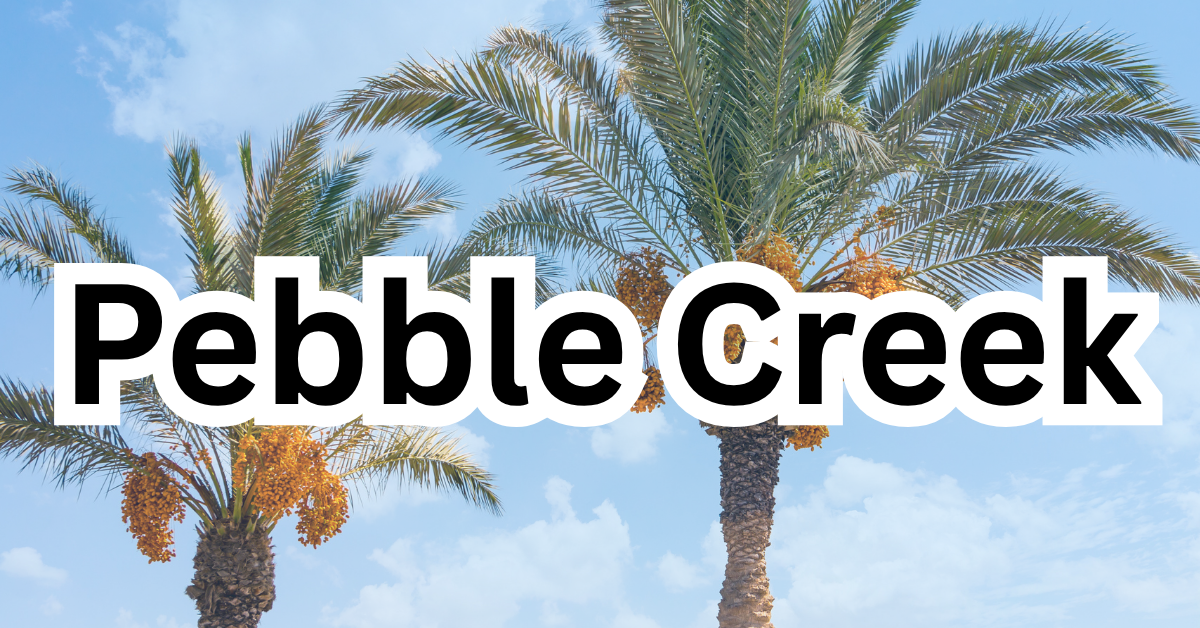 The Complete Guide to Living in Pebble Creek, Henderson, NV (89074) header image.