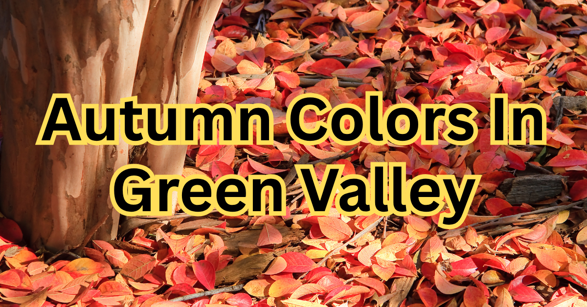 Autumn Colors In Green Valley header image.