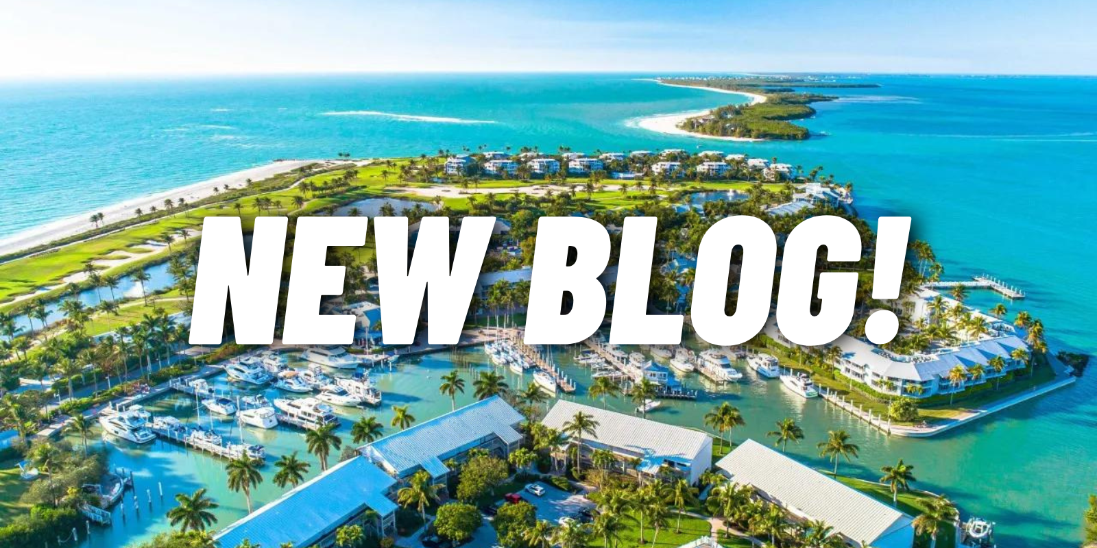 COMMUNITY SPOTLIGHT: LIVING IN TIBURÓN... header image.