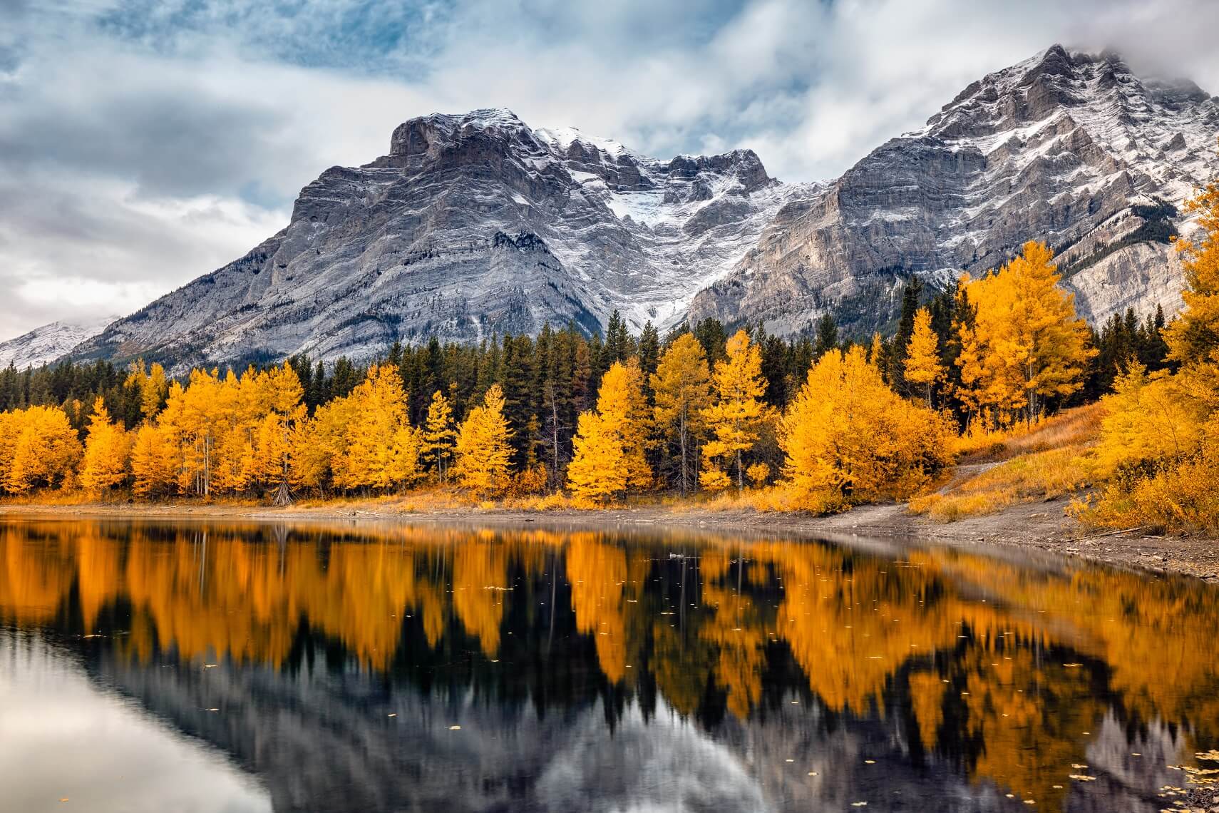November Newsletter header image.