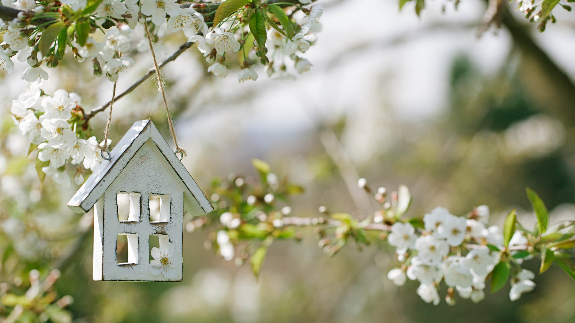What The Spring Market Means for Real Estate header image.