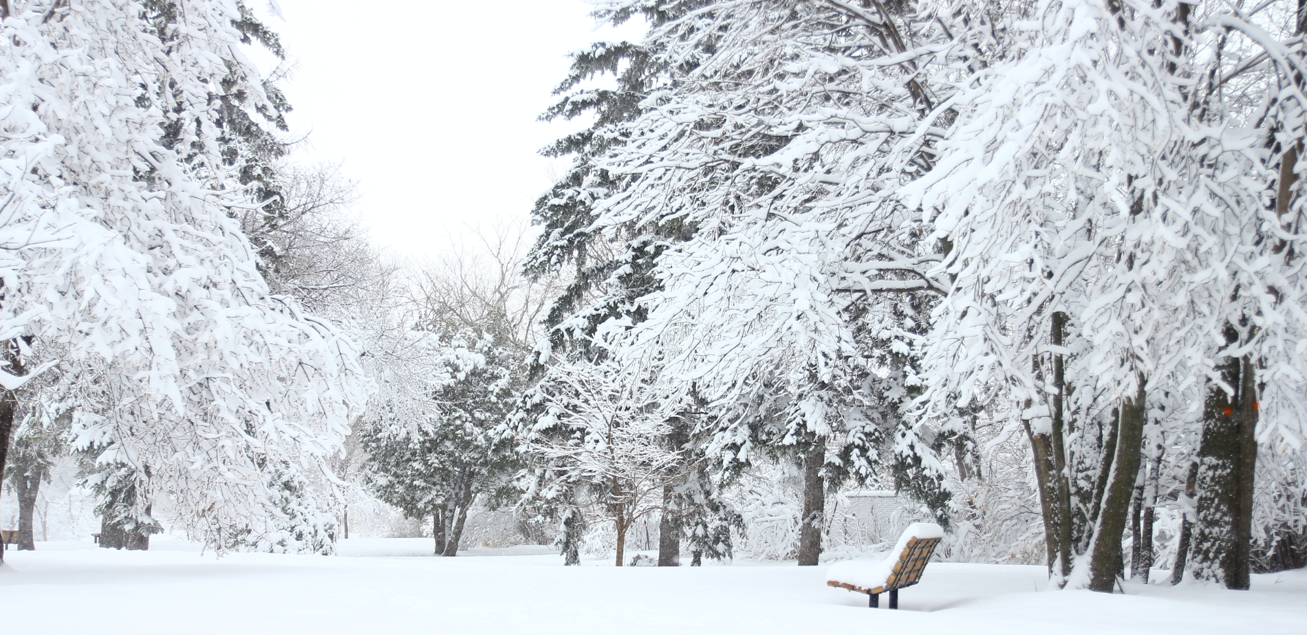 5 Reasons Why Winter is a Great Time to Buy or Sell a Home header image.