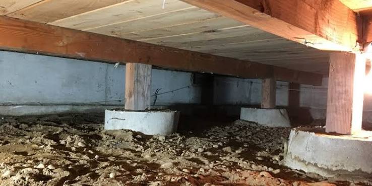 Mold in Indiana Homes: What Every Homeowner Needs to Know header image.