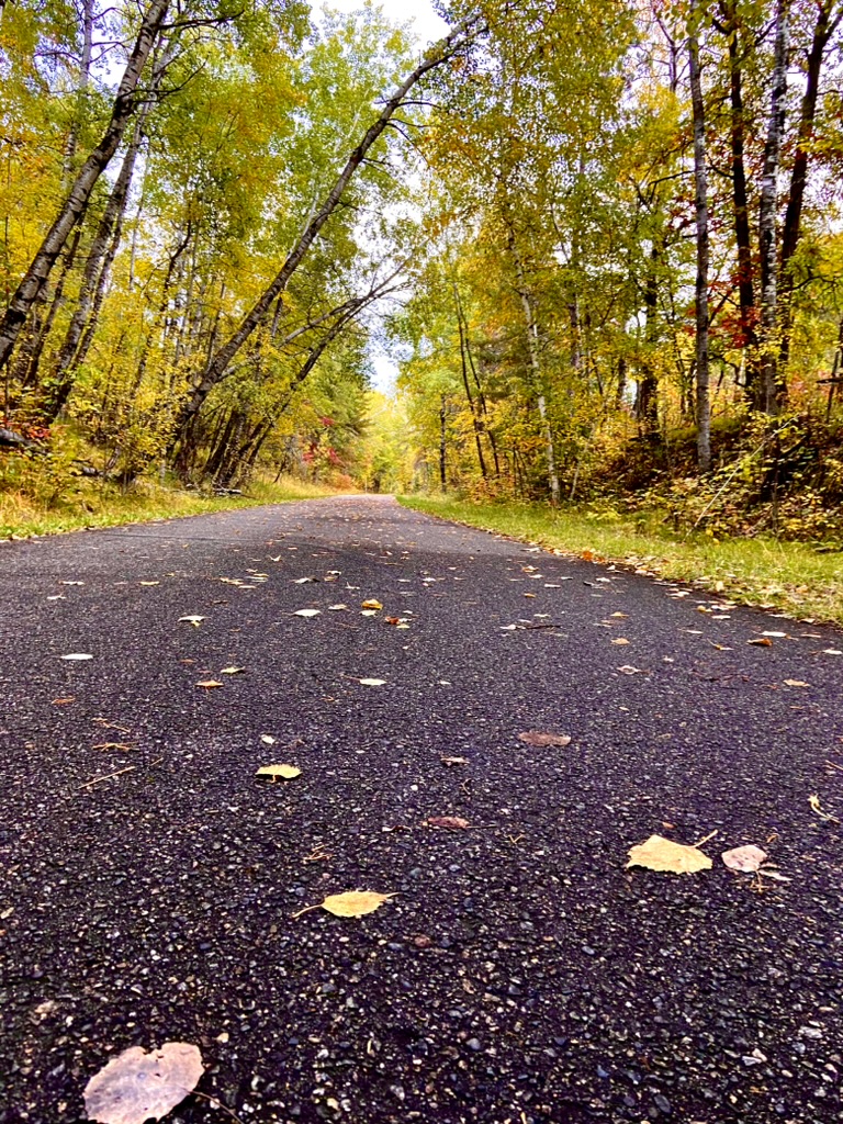 Fall In Northern Minnesota header image.