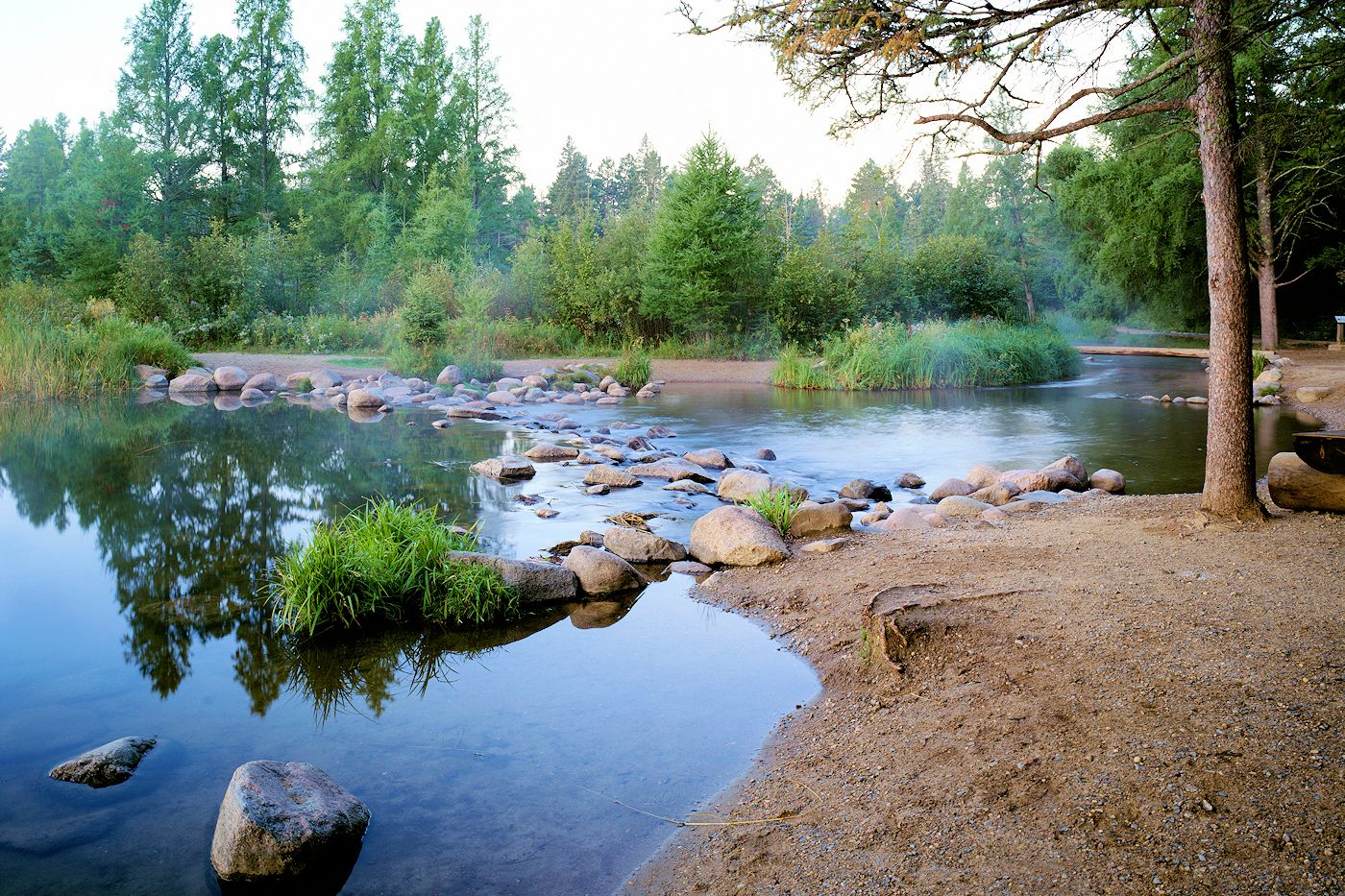 Itasca State Park: A Guide header image.