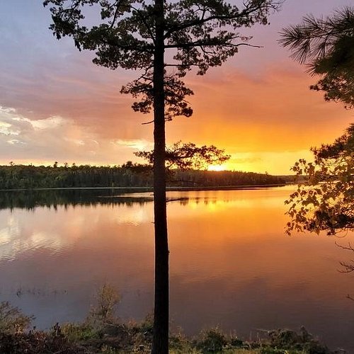 Summer In Park Rapids header image.