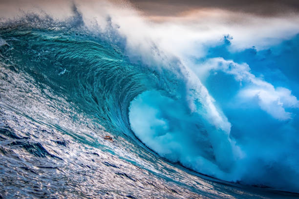 Are We About to See a New Wave of Foreclosures? header image.